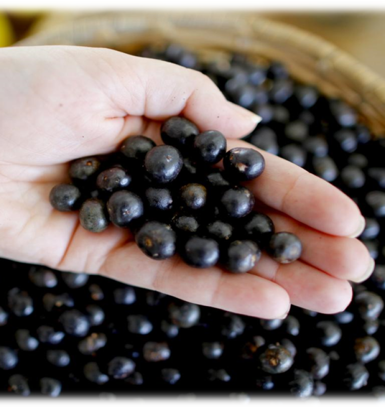 Akai Berries